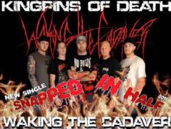 Waking The Cadaver : Snapped in Half